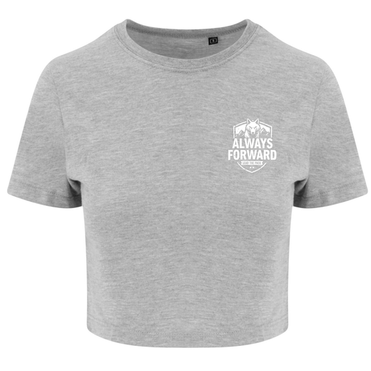 Apex Crop Tops (Grey)